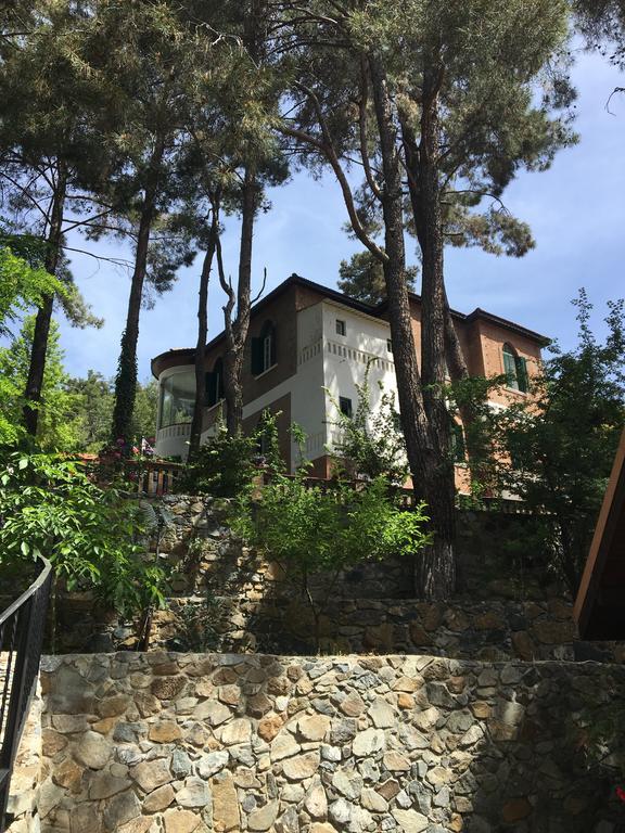 Semiramis Lodge Plátres Eksteriør bilde
